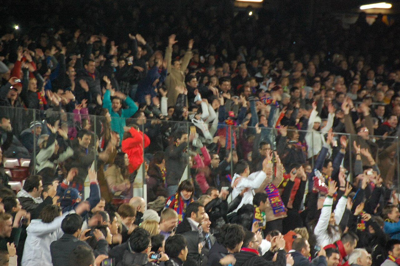 平台公告 平台公告·球场看台实景